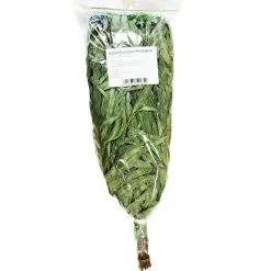 Green Bee Eucalyptus Saunavasta