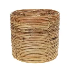 Amanda B AmandaB Rottinkikori