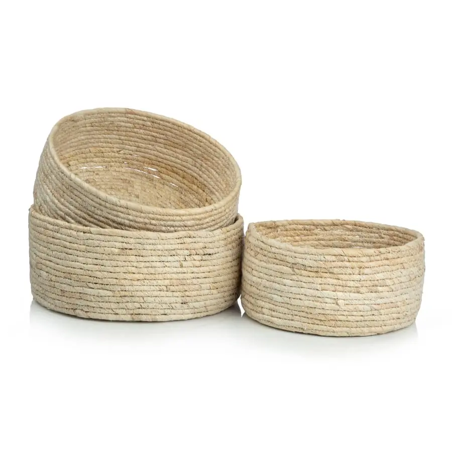 Aina Fanni Maissikori 4 Aina Fanni Maissikori - Image 2