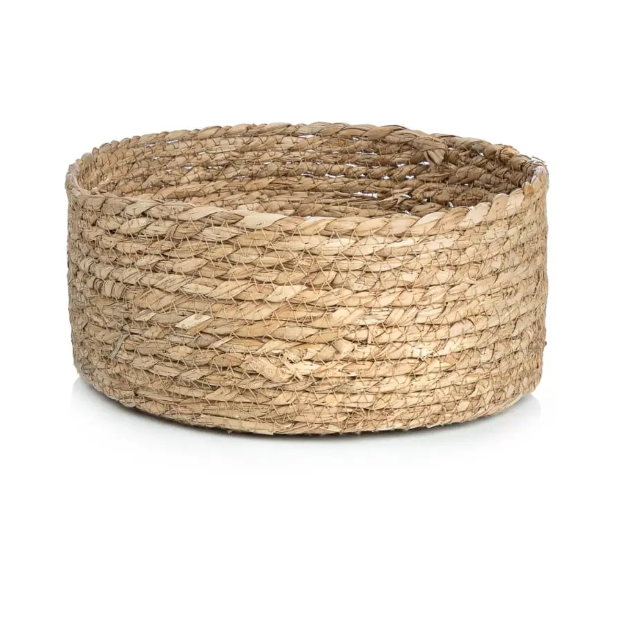 Aina Fanni Meriheinäkori 3 Aina Fanni Meriheinäkori