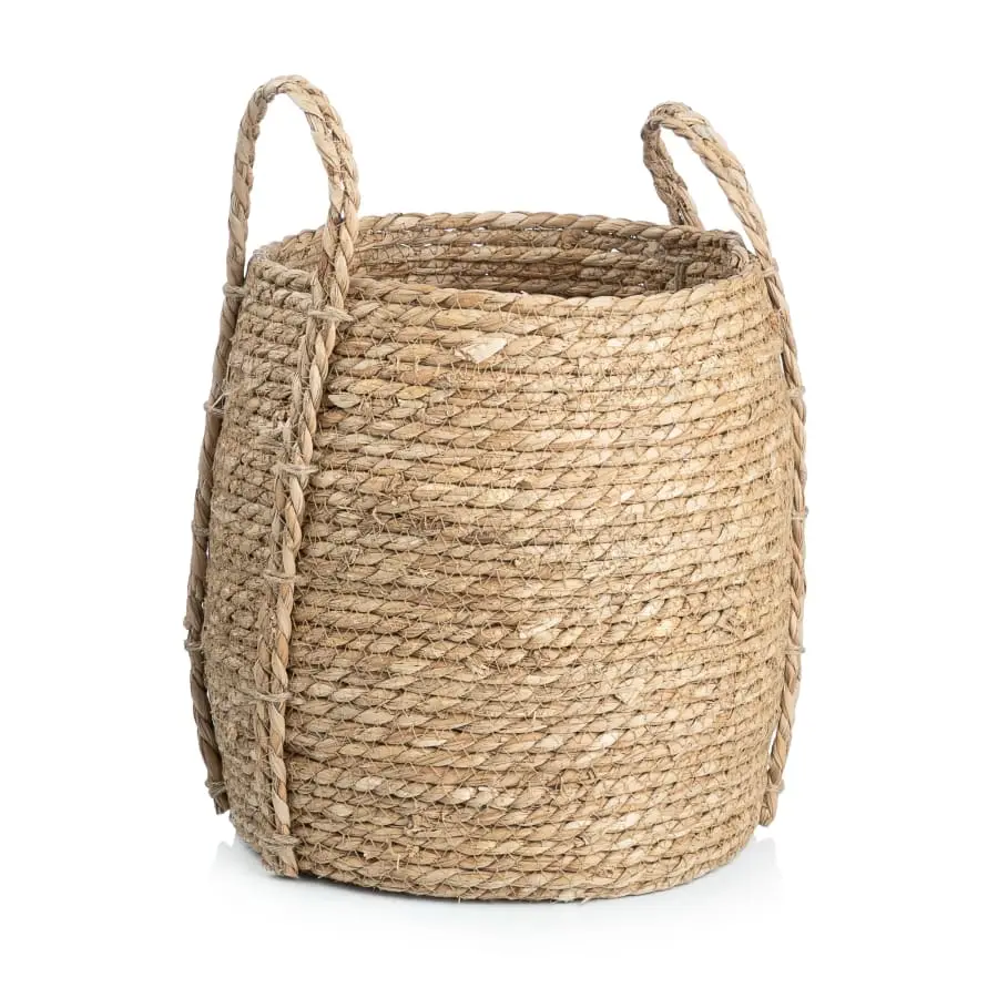 Aina Sofia Meriheinäkori 3 Aina Sofia Meriheinäkori