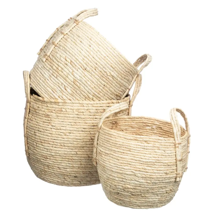 Aina Lyydia Maissikori 4 Aina Lyydia Maissikori - Image 2