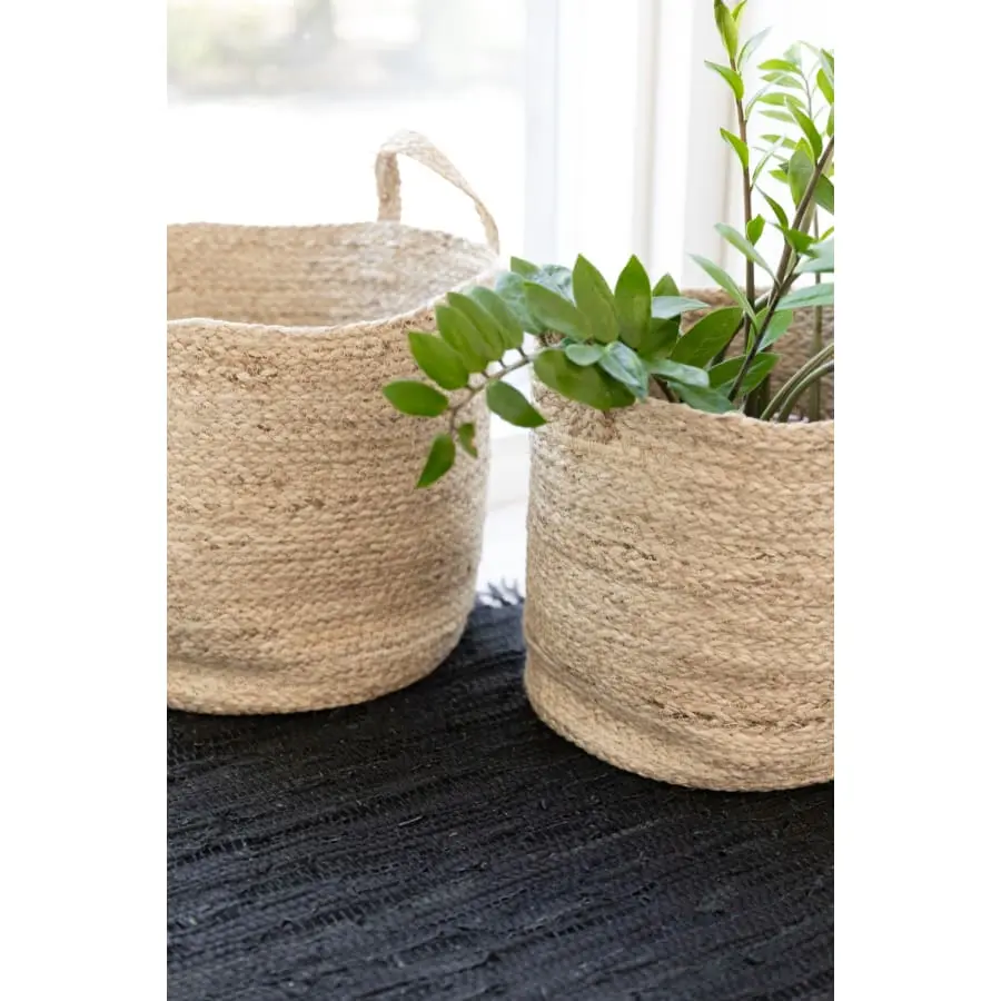 Aina Stella Kori 5 Aina Stella Kori - Image 3