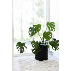 Aina Lastukori -Huonekalut myymälä 6438014270524 3