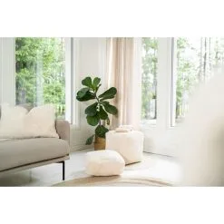 Aina Vilja Rahi -Huonekalut myymälä 6438014318387 2